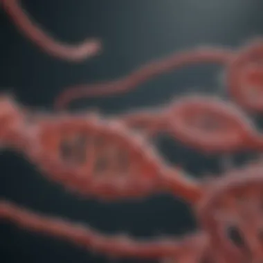 Entecavir Interaction with Viral RNA Polymerase Entecavir interacting with viral RNA polymerase