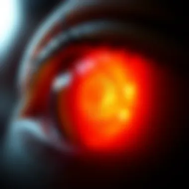 How the Retina Contributes to Vision Visual function of the retina