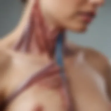 Anatomical Factors in Shoulder Dystocia Illustration depicting the anatomy of the birth canal and its relation to shoulder dystocia.