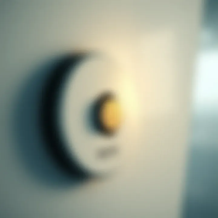 Conceptual image of a mute button in a serene environment