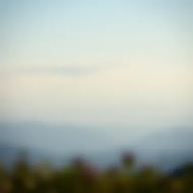 Calm landscape symbolizing tranquility amidst noise