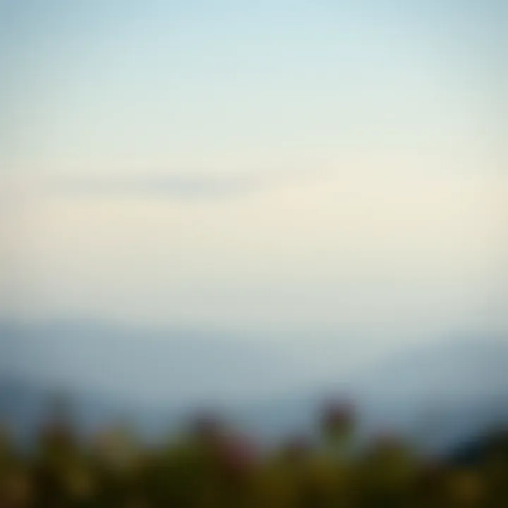 Calm landscape symbolizing tranquility amidst noise