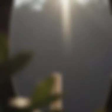 Global Legal Frameworks Addressing Type I FGM Legal status of FGM worldwide