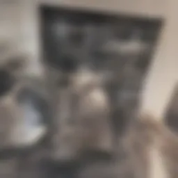 Microscopic view of lung tissue affected by UIP fibrosis