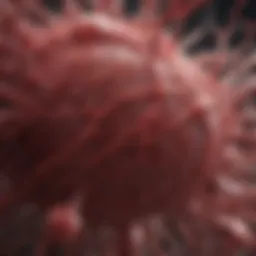 Illustration of blood vessel blockage due to a thrombus
